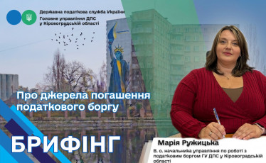 Марія Ружицька : про джерела погашення податкового боргу